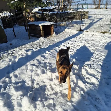 Dom wakacyjny Bunge *